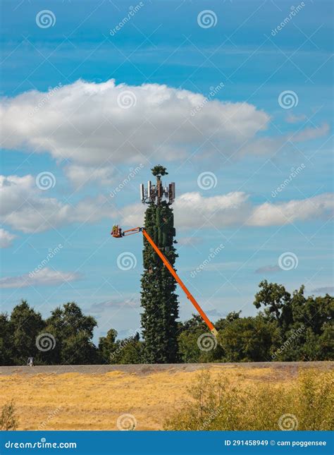 where are the fake tree cell towers in sacramento